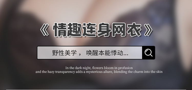 7401热辣野性斑马纹连身网衣套装(图1)