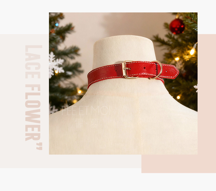 7617圣诞颈环可拆卸牵引一体链(图6)